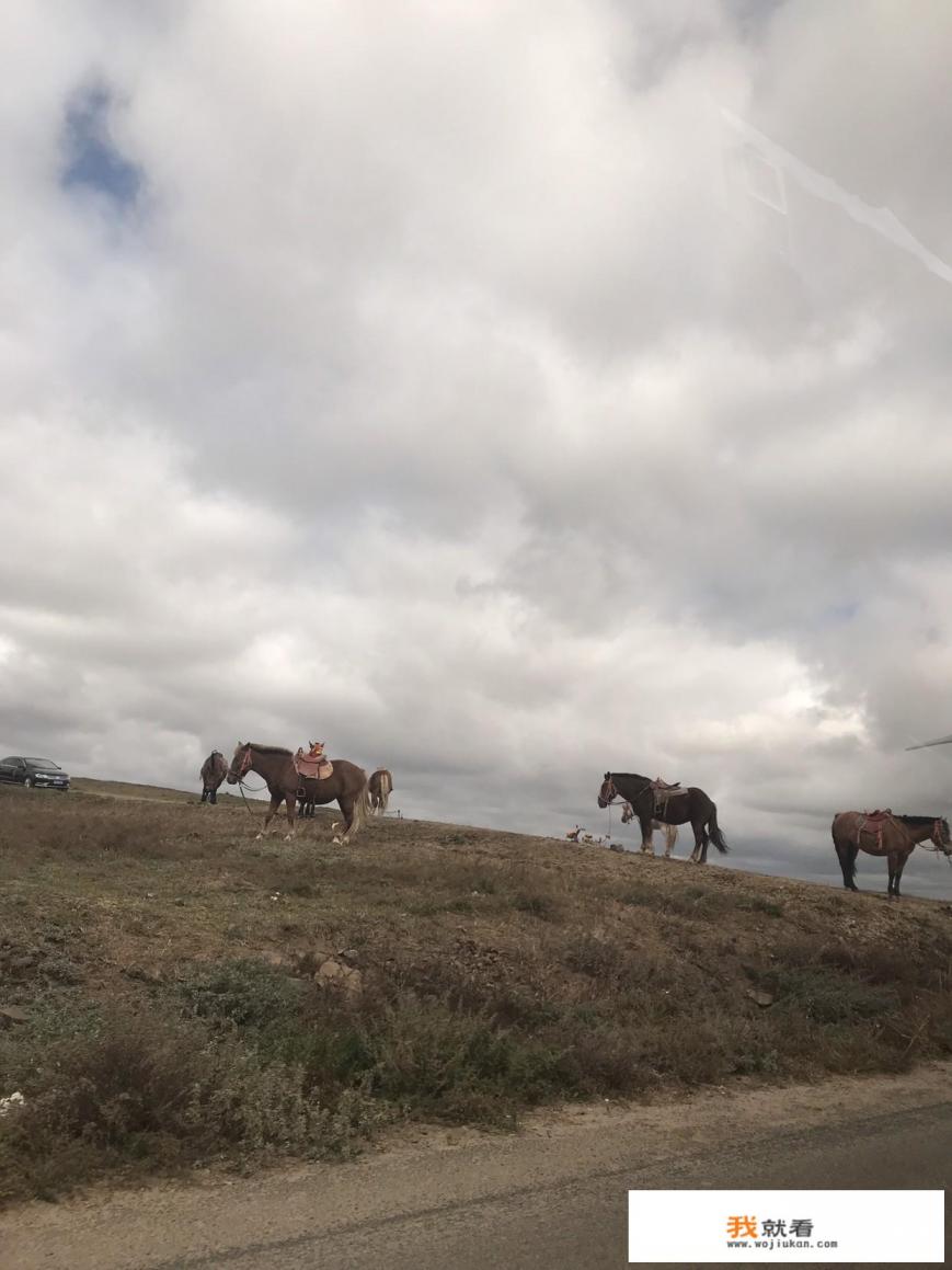十一去坝上旅游还合适么？