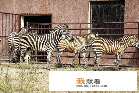 南宁花花大世界的交通信息？