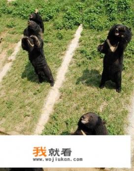 南宁花花大世界的交通信息？