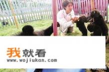 南宁花花大世界的交通信息？