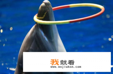 福州周边有哪些适合一日游的好玩地方？