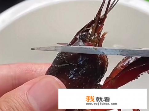 小龙虾怎么处理最干净？