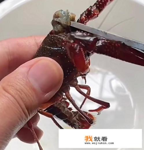 小龙虾怎么处理最干净？