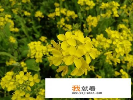 败家子有何表现？