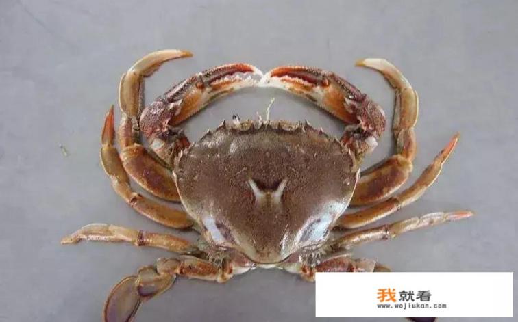 死湖蟹还可以吃吗？