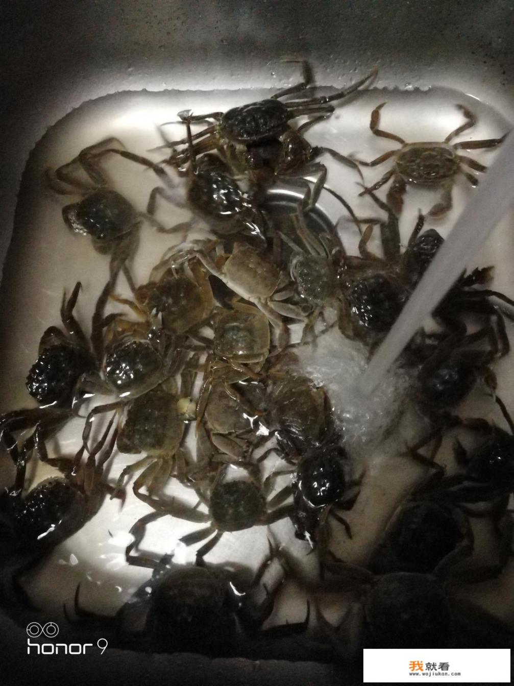 死湖蟹还可以吃吗？