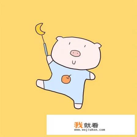 上网卡是什么？