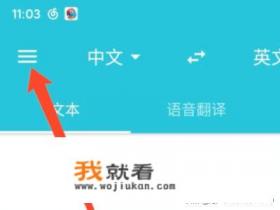 有道翻译如何操作复制翻译？