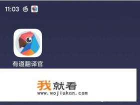 有道翻译如何操作复制翻译？