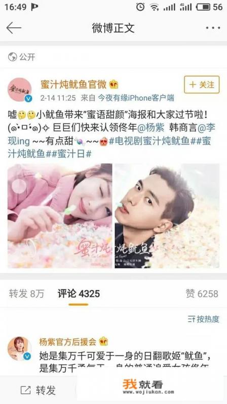 蜜汁炖鱿鱼全系列叫什么？
