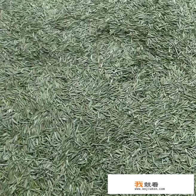 竹叶青茶好吗，竹叶青茶多少钱？