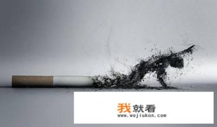 男人戒烟多久能增肥？