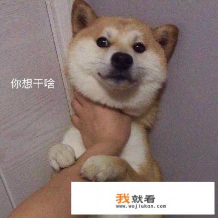 为什么会有游戏优越党？