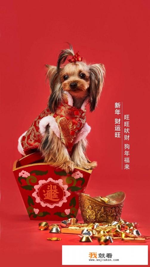 求NDS游戏，可以打怪升级，可以拿材料合装备，打怪时要比较有创艺，不要回合那种的，要告诉多点？