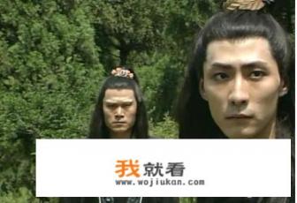 白眉大侠徐良为何要认仇人神拳太保王兴祖的老师苍九公为义父？