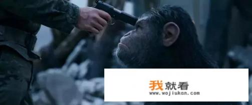 猩球崛起3详细剧情介绍？