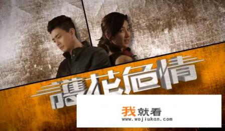 大家看了《回到三国》和《护花危情》的大结局有什么感想？