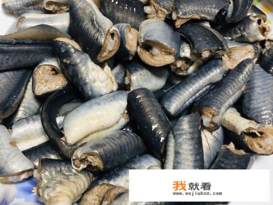 七鳃鳗国家保护动物？
