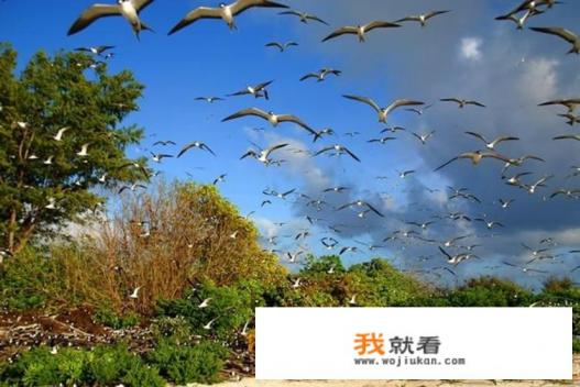 2018年4月适合去沈阳鸟岛吗？