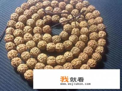 金蝉子小金刚是什么，好盘吗？