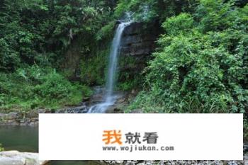 夏至古诗四句？