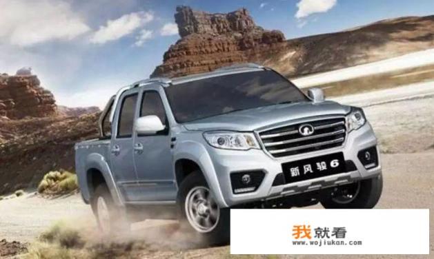 长城汽车除了哈弗SUV，听说长城皮卡也很厉害，大家怎么看？