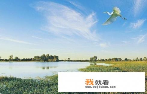 国内10大海岛亲子游排行是怎样的？
