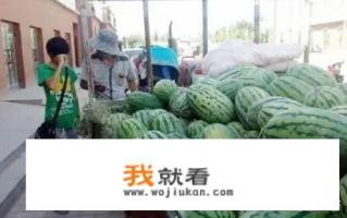 河南开封：西瓜价格继续下跌，一斤四毛无人要！价格下跌的原因是什么？