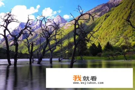 双桥沟景区门票卖完了怎么办？