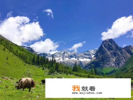 双桥沟景区门票卖完了怎么办？