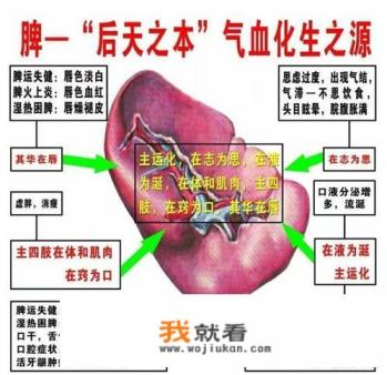 肝郁脾虚有什么表现？