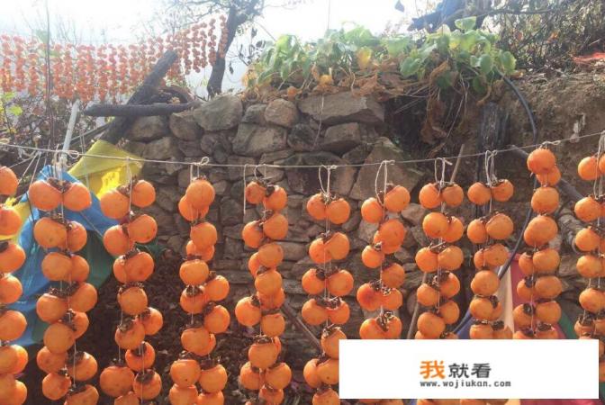 泰山买票和索道通票多少？