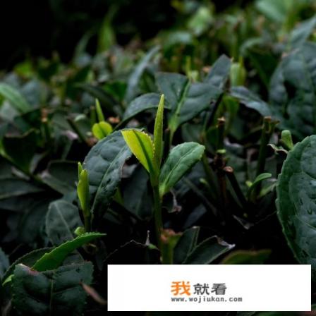 铁观音算是什么茶？喝绿茶真的可以防辐射吗？
