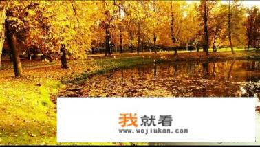如果只能停留一天，南京旅游赏秋哪里最值得去？