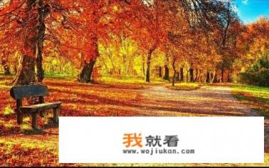 如果只能停留一天，南京旅游赏秋哪里最值得去？