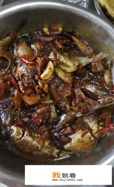 钓鱼打窝花生饼和豆饼哪个好？
