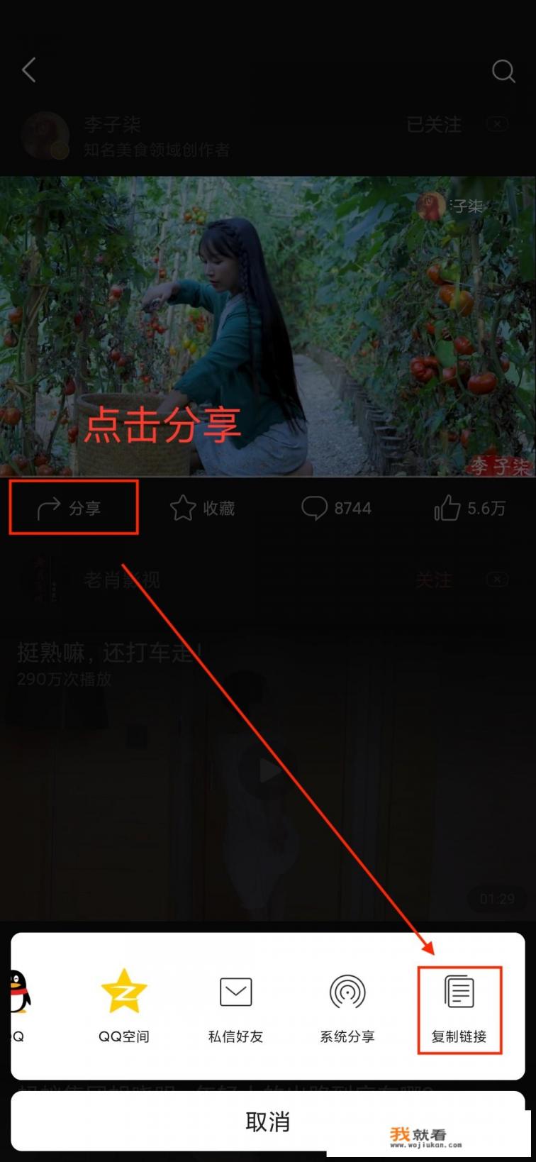怎么到手机上下载电影，然后放电视上看？