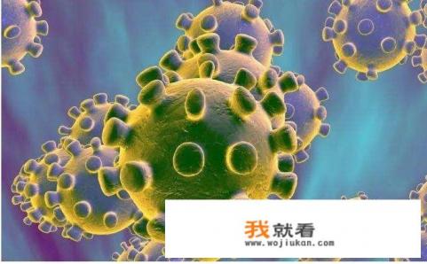 正常牛有多少斤？