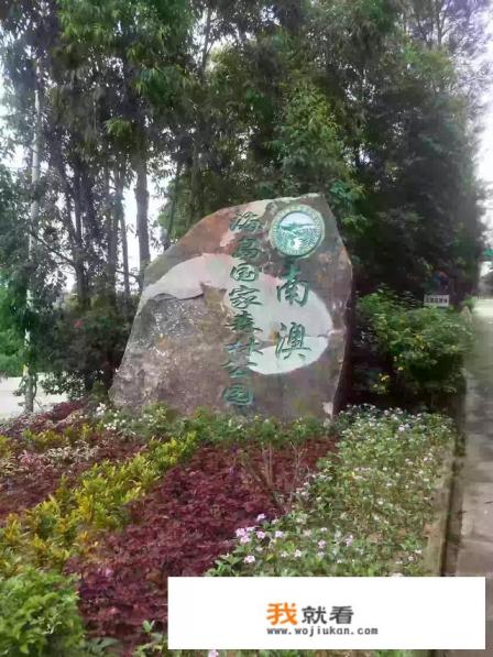 南澳岛赶海攻略？