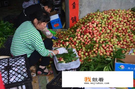 水果批发在网上拿货靠谱吗？