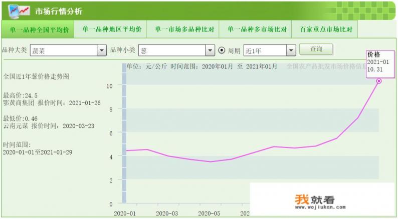 2021年大葱价格走势如何？种植前景如何？