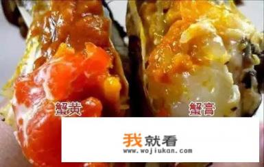 《红楼梦》38回中黛玉也作了螃蟹诗，可为什么要撕掉呢？