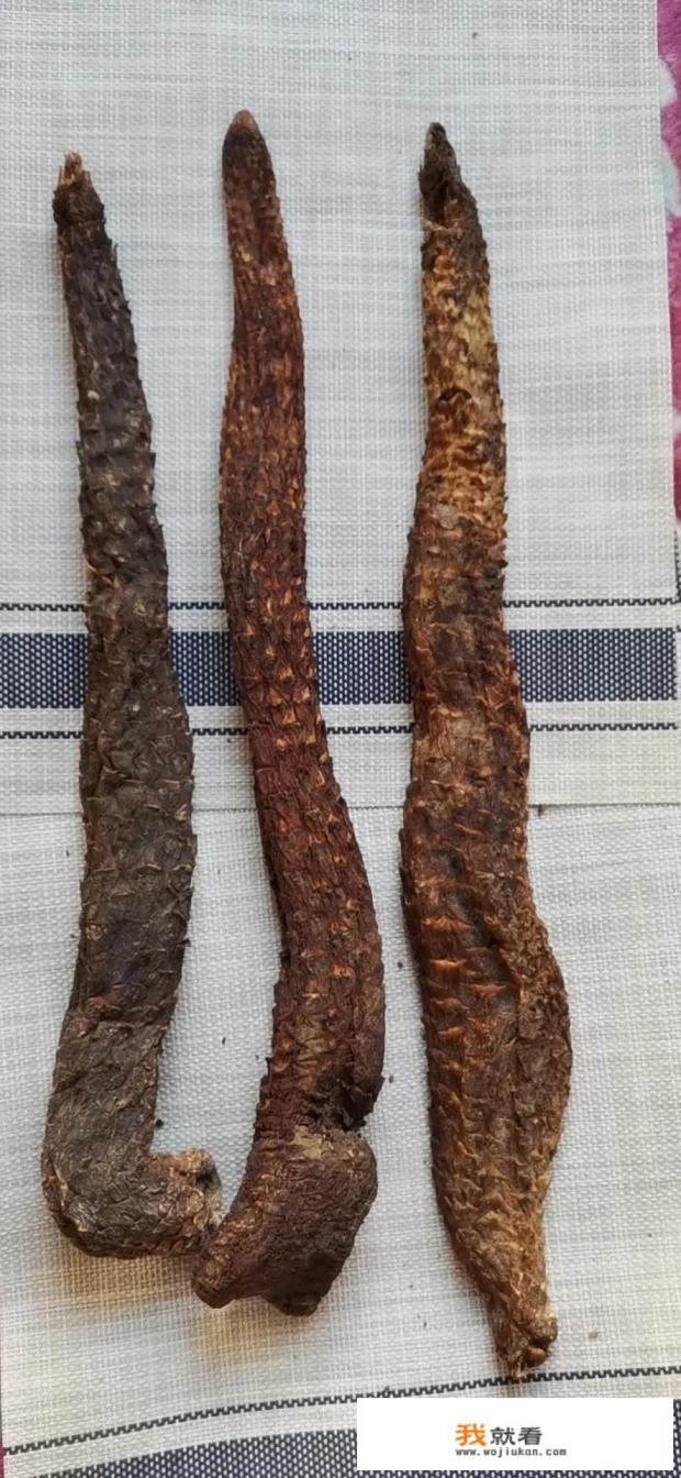 能不能分享一下你的苁蓉泡酒配方？