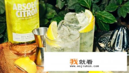 世界顶级名酒Absolut绝对伏特加.谁能告诉我下他的历史呢？