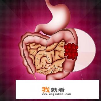 人的大肠什么样子？