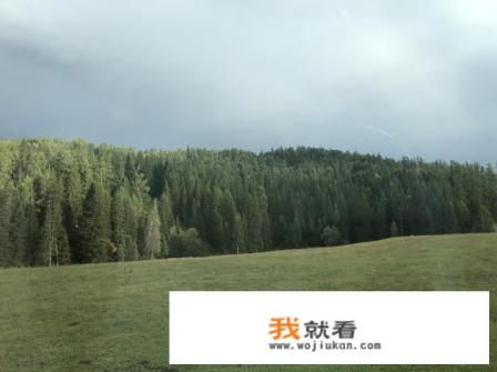 百度上搜去新疆旅行，立马出现的新疆旅行社（私人）这些旅行社可靠吗？
