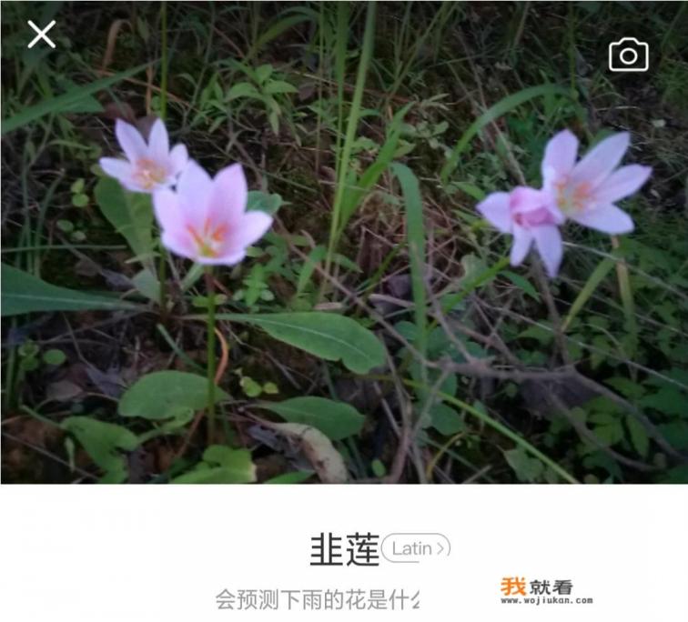 有哪些最适合孕妇使用的护肤品？