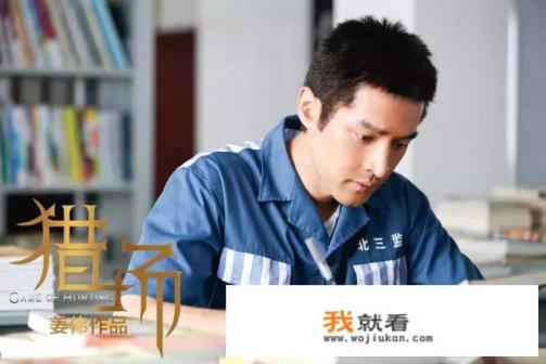为什么胡歌主演的《猎场》情节很棒，演员演技在线，豆瓣却只有6.0这么低的评分？
