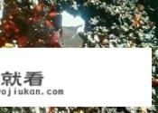 自制老干妈蒜蓉辣酱？