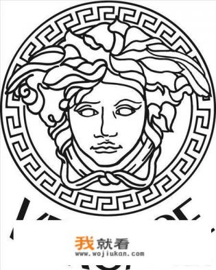 很接近范思哲的图标是什么啊？